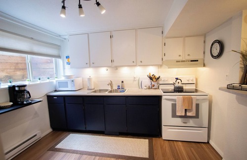 Central Colorado Springs Apartment | Lower Unit- Classic 50s Ranch Near Downtown