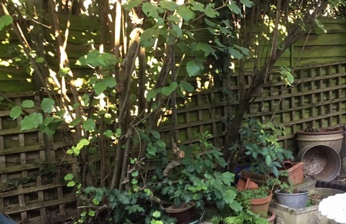 Birmingham Bed & Breakfast | Lowri Cottage BnB