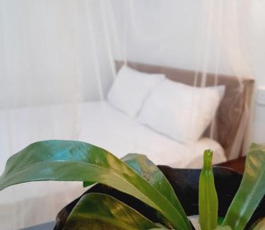 Dickwella House | Lucky Homestay Hiriketiya