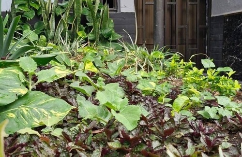 El Poblado House | Lugar encantador con jacuzzi