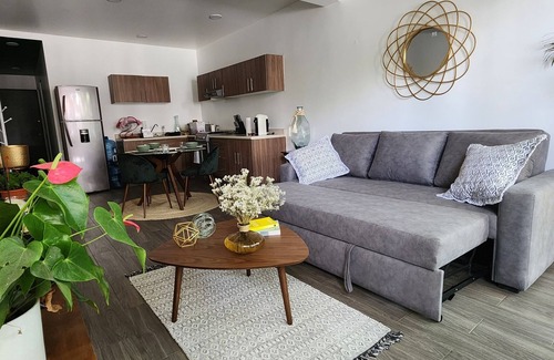 Colonia Cuauhtemoc Apartment | Lujoso Departamento con terraza en Col. Cuauhtemoc