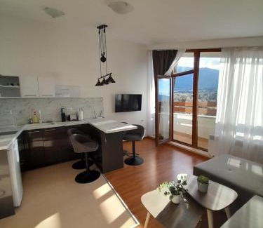 Shiligarnika Apartment | lux apartament К602
