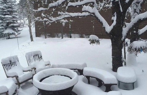 Flagstaff House | LUX Cabin on 6 beautiful acres. BEST IN FLAGSTAFF! Large groups welcome!