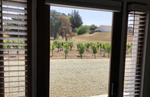 Temecula House | Lux Vineyard Escapes-Charming Vineyard Guest Suite