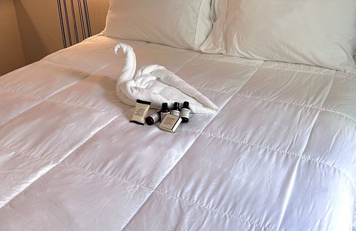 East Ybor Apartment | Luxe - Apt in Ybor City -Tampa Bay/ FREE PARKING +WIFI