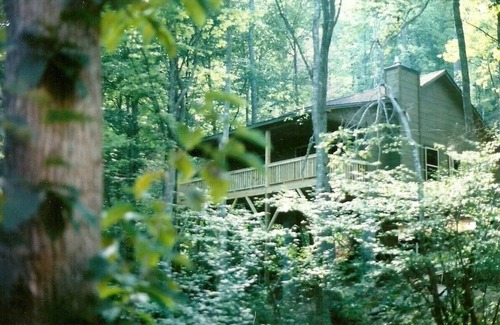 Topton Cabin | Luxuary Cabin secluded on 40 acres of Spectacular Mountain Wilderness.