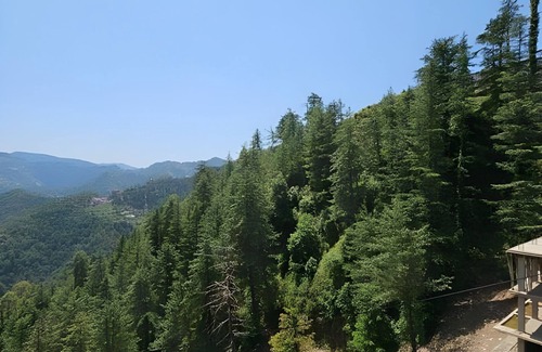 Shimla Apartment | Luxuries 1 BHK Appartment With Scenic Views