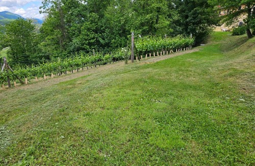 Castelnuovo di Garfagnana Villa | Luxurious 2-bedroom villa with private pool, AC, WiFi , Vineyard in Tuscany