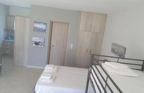 Paliovarka Apartment | Luxurious apartment foinikas