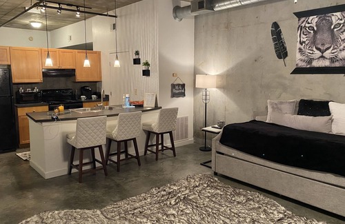 Home Park Condo | Luxurious Chanel Condo. Downtown Atl