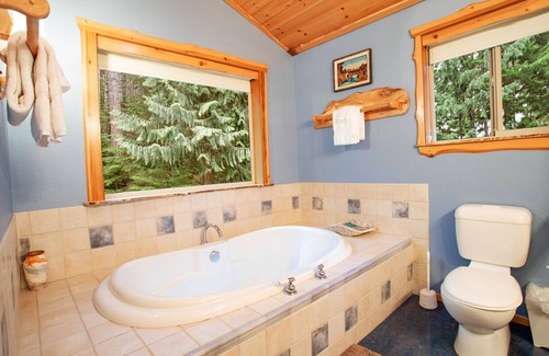 Packwood House | Luxurious Custom Home- Wifi- Hot Tub