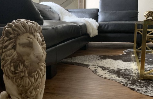 South Arlington Condo | Luxurious High End Split Level Loft