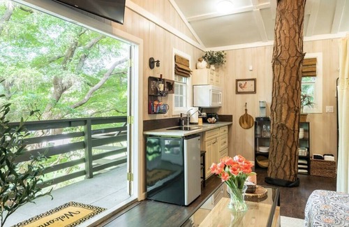 Palm Beach Country Estates Cabin | Luxurious Modern Treehouse with Mineral Pool/Spa