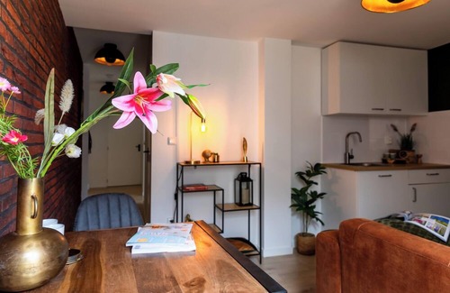 Tilburg House | Luxurious room, newly renovated bathroom, free use of kitchen en washer, and easy to go to the unive