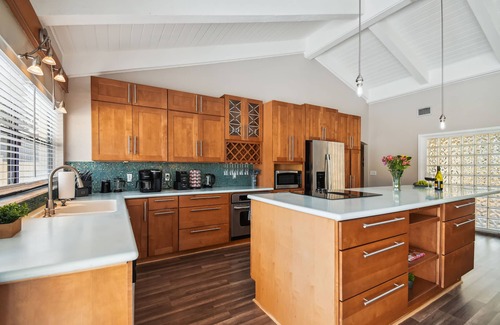 Carrollwood House | Luxurious Spacious Modern House w/AC + Heated Pool