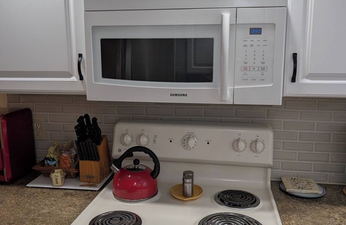 Lutz Condo | Luxury 1BR King Condo, Screened Lanai, Pond Views - Clothing Optional