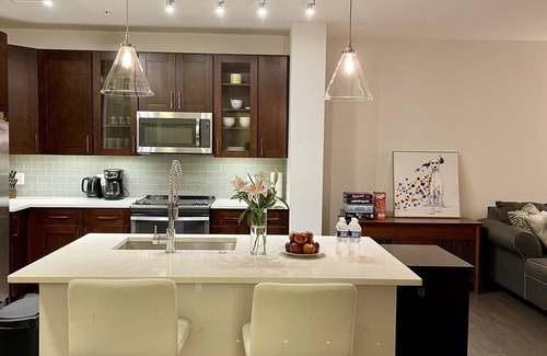 McLean Apartment | Luxury Apt in Tysons - Mins From Metro - Free Parking