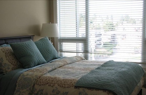 Regional District of Nanaimo Condo | Luxury Beach Front Condo with Breath Taking View