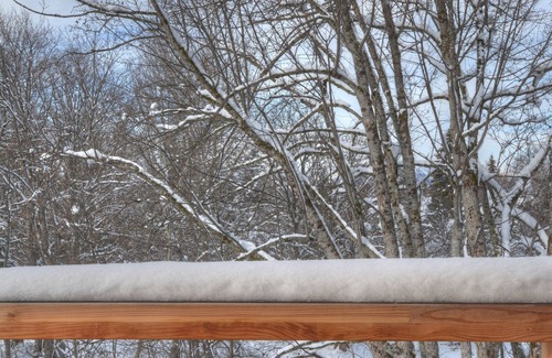 Les Carroz-d'Araches Ski Chalet | Luxury chalet in Les Carroz d’Arâches, sauna, billiards, 8 showers, 8 bedrooms