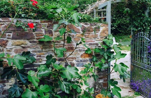 Stokenham Cottage | Luxury country hideaway on the fringes of Start Bay