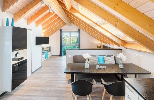 Bensheim Condo | Luxury design loft for 6-8 people - balcony/garden (3 bedrooms + 3 bathrooms)