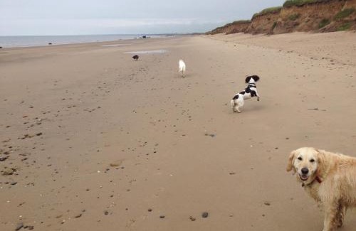 Bridlington House | Luxury Dog Friendly Cottage sleeps 4
