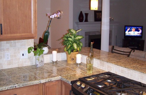 West Elmira House | Luxury Executive Home