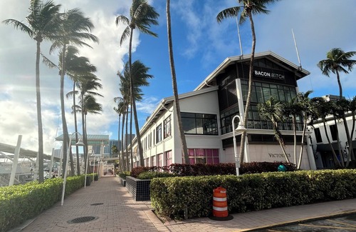 Downtown Miami Apartment | Luxury high rise