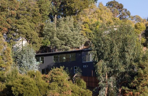San Rafael House | Luxury Home among the trees with views of Mt Tam