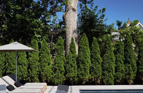 Asbury Park House | Luxury Home w/Pool - walk to town and beach