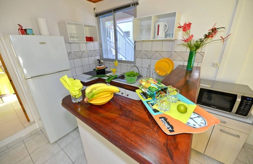 Bellefontaine Apartment | Luxury Martinique Apartement With Mountain View