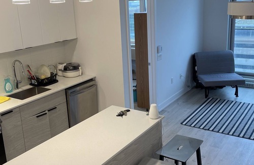 District Wright - Parc - de - la - Montagne Apartment | Luxury Pet Friendly Apartment in Hull