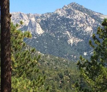 Pine Cove Ski Chalet | Luxury, Private, Panoramic Views Among the Pines
