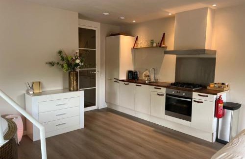 Bodegraven Apartment | Luxury Private Spa with golden bath, cinema and sauna