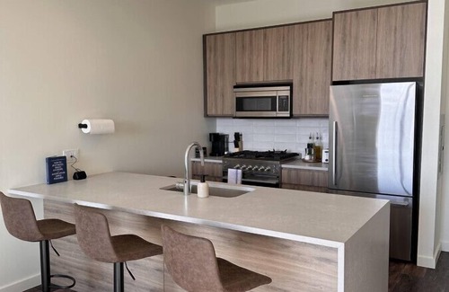 Pulaski Park Apartment | Luxury River West High-Rise N5 Gym+Rooftop+Skyline