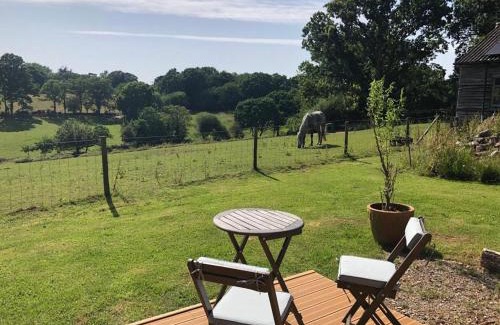 New Forest District Cabin | Luxury Shepherds Hut