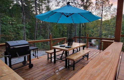 Robbinsville Cabin | Luxury Stargazing Dome On The Dragon's Tail