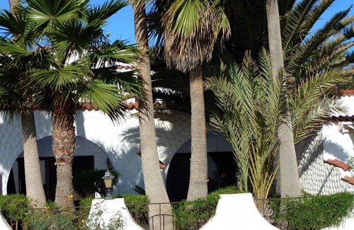 Bahia Calma House | Luxury studio for beach lovers - apartment by the sea under palm trees
