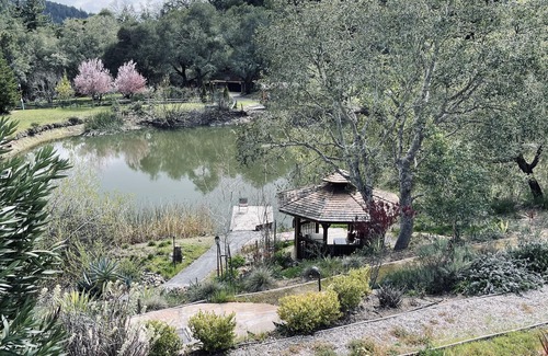 Los Gatos Apartment | Luxury Studio with Access to the Pond and SPA