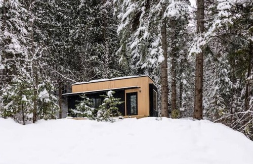 Crescent Valley House | Luxury TinyHouse Get-Away