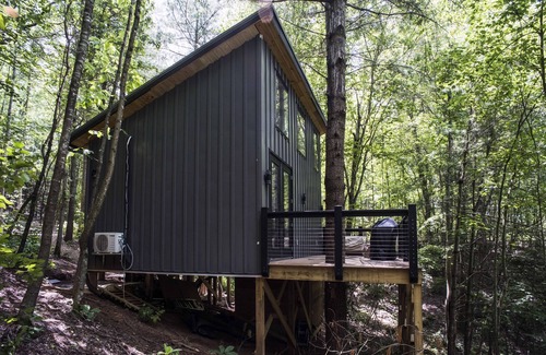 Saluda Cabin | Luxury Treehouse 20 miles from asheville.
