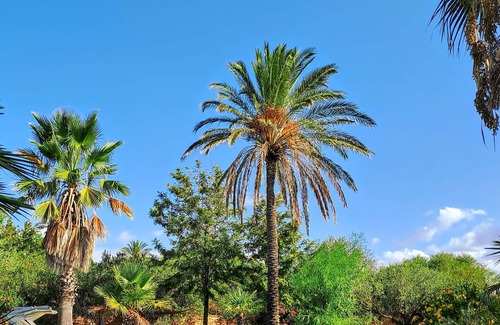 Castelvetrano Villa | Luxury Villa Silene with swimming pool in Castelvetrano Selinunte, Sicily