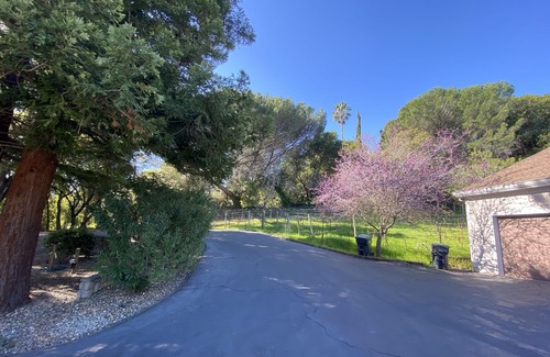 Green Valley House | Luxury Villa with 6k sqft House in a 2 Acre Vineyard
