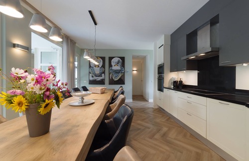 Colijnsplaat House | Luxury villa with a pool, sauna and near the sea