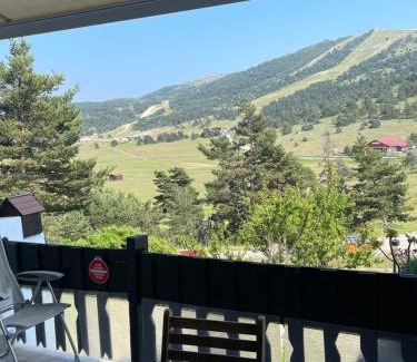 Greolieres les Neiges Apartment | Lylou