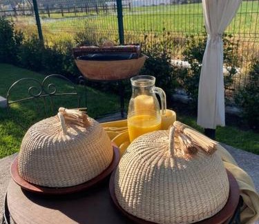 San Miguel de Allende Apartment | Mágica SUITE rodeada de viñedos