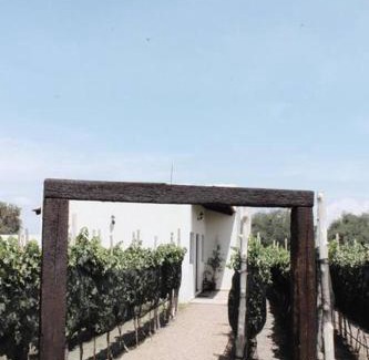 San Miguel de Allende Apartment | Mágica SUITE rodeada de viñedos