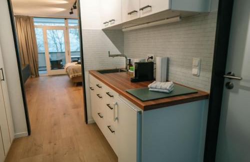 Sudrandweg Apartment | Möhneblick - Seeblick, Dachterrasse, Pool, Sauna, Waldnähe