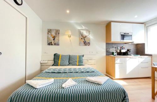 Quartier Centre Ville Apartment | M4 Coeur Massy RER BC 600m - Orly20 min