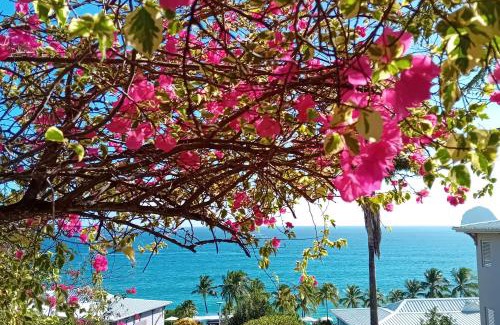 Le Diamant Apartment | Ma place au Soleil, l'Escapade romantique